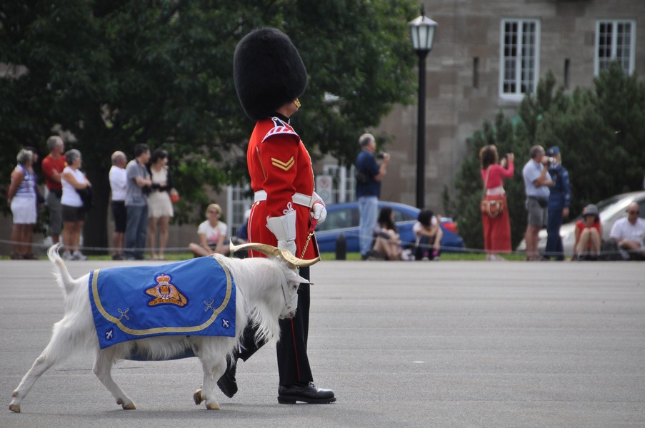 Changing of the Guard at the Citadelle of Quebec