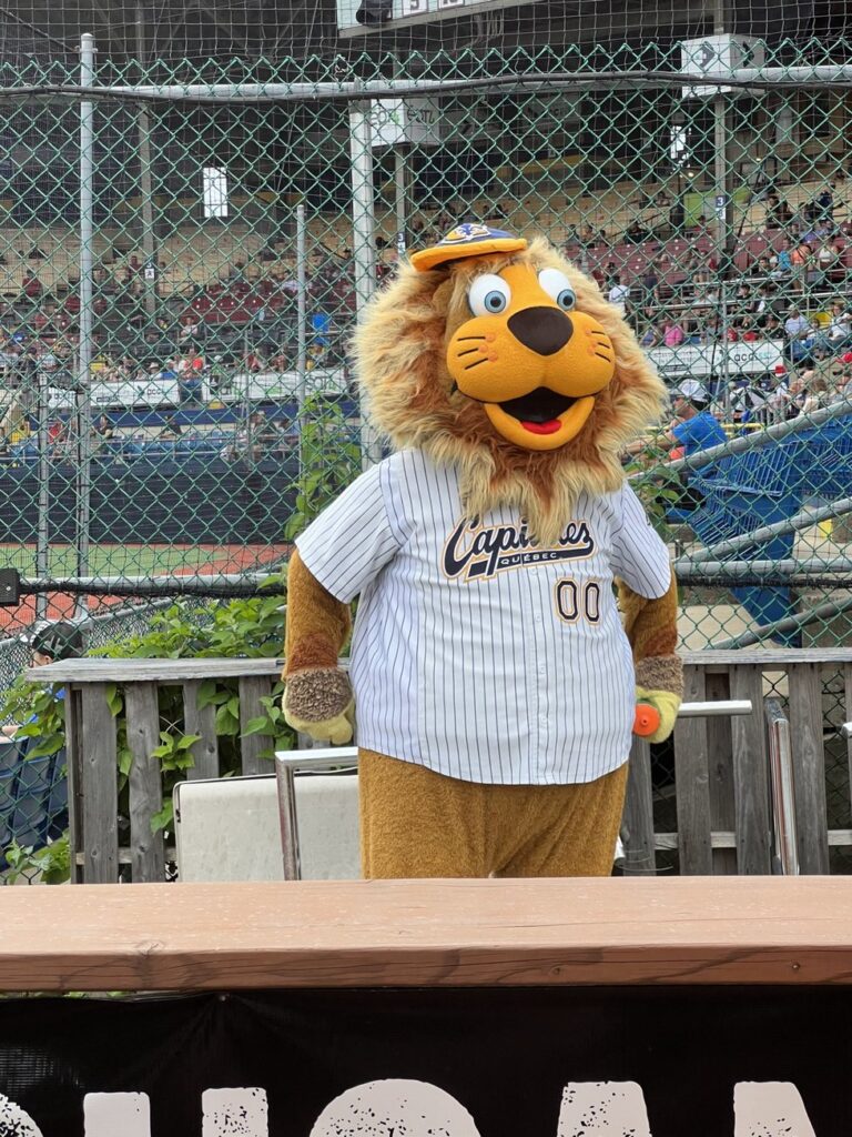 Quebec Capitales baseball at Stade CANAC
