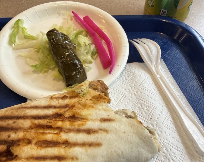 Grilled shish taouk sandwich with salad and stuffed grape leaf at Restaurant Le Roi de Shish Taouk in Quebec City
